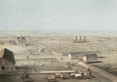 Union Stockyards, Chicago od American School