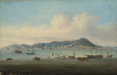 Pohled na Hong Kong, 1850 od American School