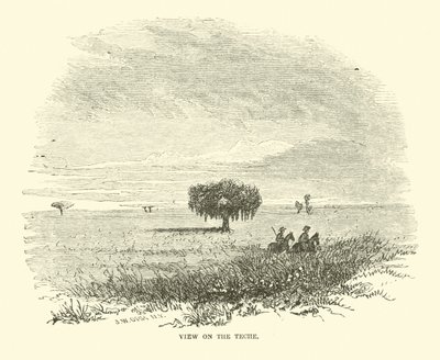 Pohled na Teche, duben 1863 od American School