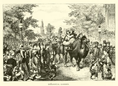 Zoologická zahrada od American School