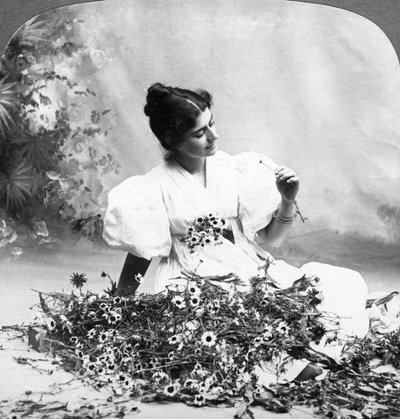 Řekni mi, Daisy, miluje mě. od American Stereoscopic Company