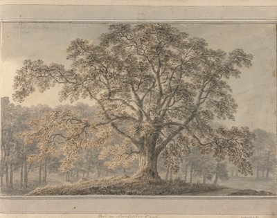 Pohledy v Anglii, Skotsku a Walesu: Ash v parku Londesbro, květen 1800 od Amos Green