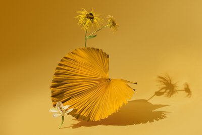 Ikebana 05, 2018 (fotografie) od Ana Carolina Tavares Mizrahi