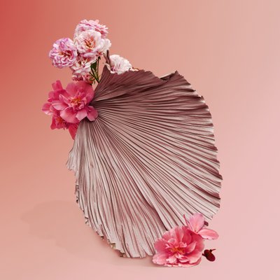 Ikebana 09, 2018 (fotografie) od Ana Carolina Tavares Mizrahi