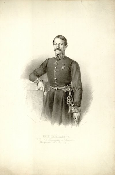 Ilija Garasanin od Anastas Jovanović