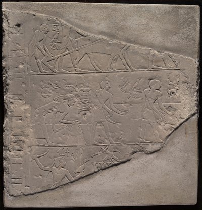 Fragment stély zobrazující orbu, sklizeň a pasení dobytka od Ancient Egyptian