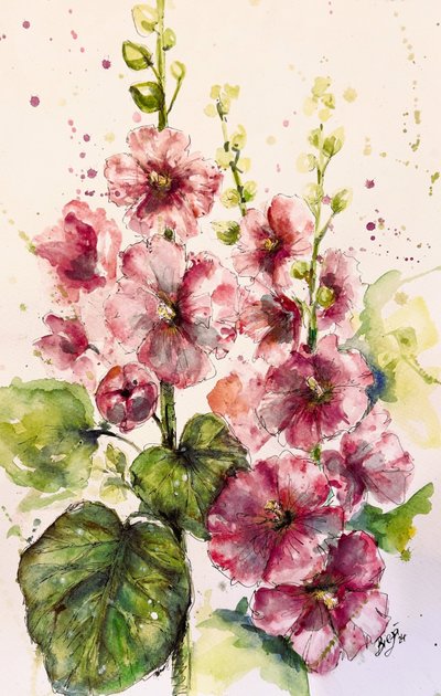 Zářivě růžové hollyhocky od Anda Bieza