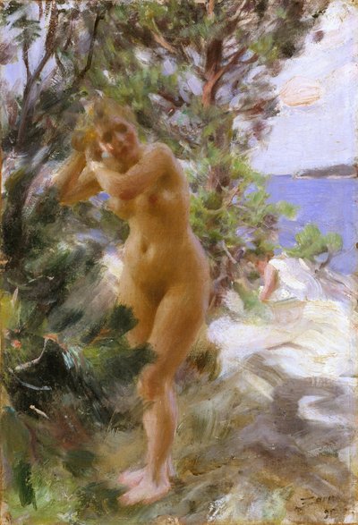 Po koupeli od Anders Leonard Zorn