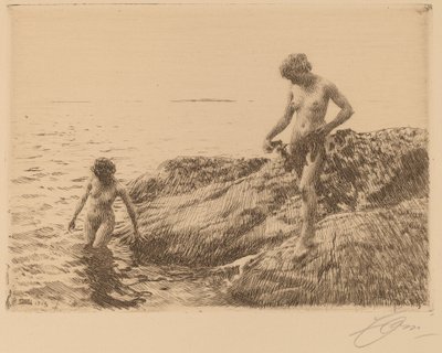 Seaward Skerries, 1913. od Anders Leonard Zorn