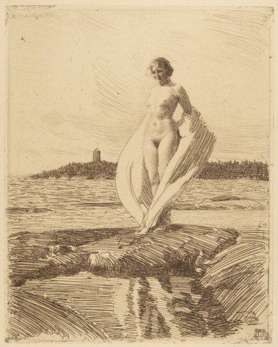 Labuť od Anders Leonard Zorn