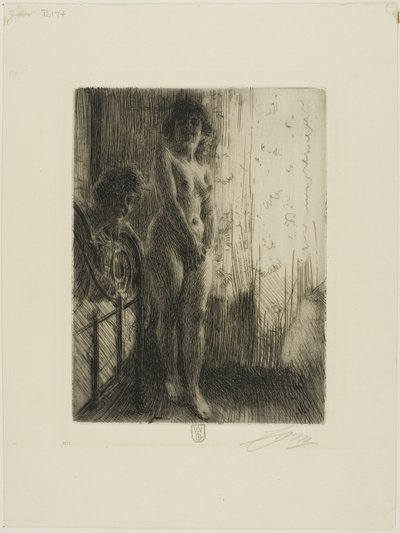 Temný kout od Anders Leonard Zorn