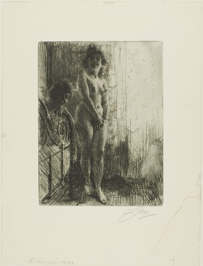 Temný kout od Anders Leonard Zorn