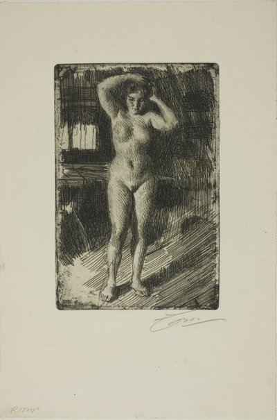 Anna si dělá vlasy od Anders Leonard Zorn