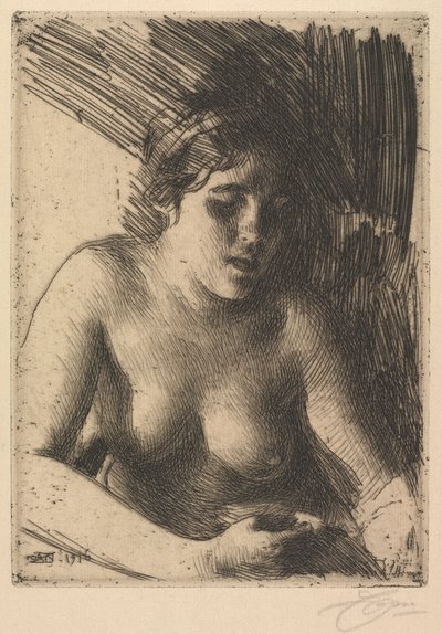 poprsí od Anders Leonard Zorn