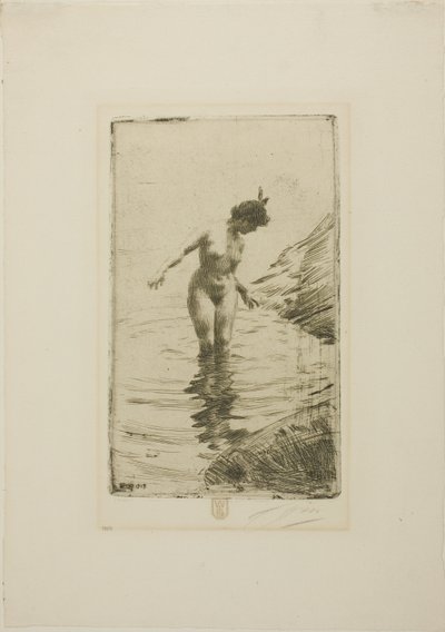 Kruhy vody II od Anders Zorn