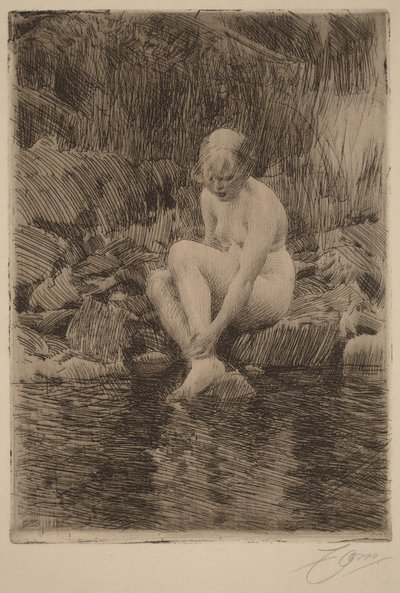  od Anders Zorn