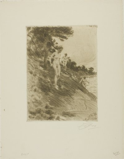 Vystrašený od Anders Leonard Zorn