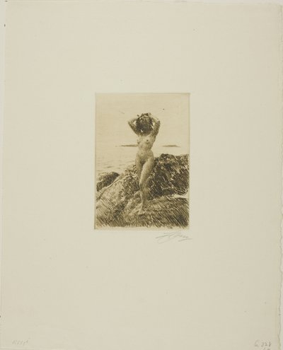 Hårtång (věnec z mořského dřeva) od Anders Leonard Zorn