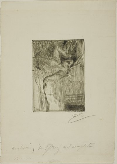 Alarm od Anders Leonard Zorn