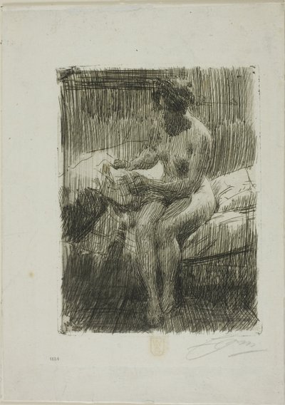 Modelové čtení od Anders Leonard Zorn