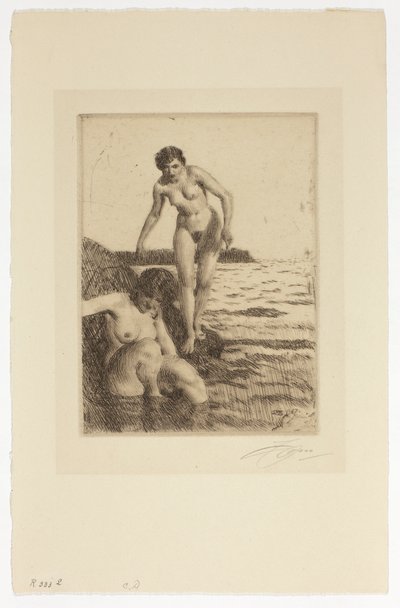 Na ostrově Hemsö od Anders Zorn