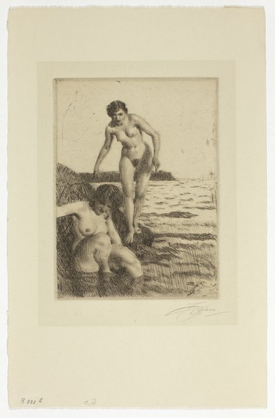 Na ostrově Hemsö od Anders Leonard Zorn