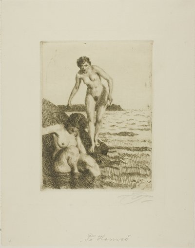 Na ostrově Hemsö od Anders Leonard Zorn