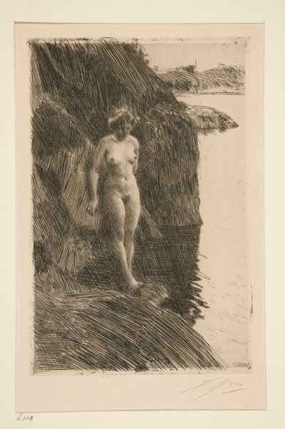 Zvláště od Anders Leonard Zorn
