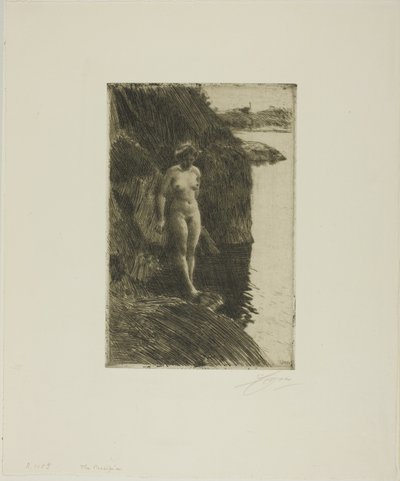 Sráz od Anders Leonard Zorn