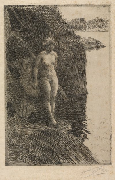 Sráz od Anders Zorn