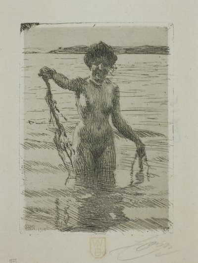Mořská řasa od Anders Leonard Zorn