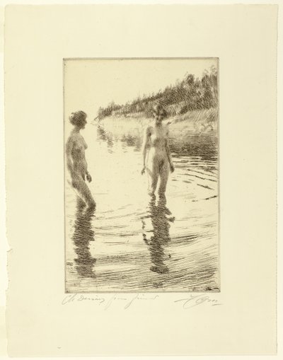 Mělký od Anders Leonard Zorn