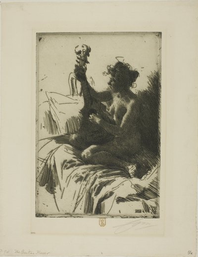 Suvenýr nebo kytara od Anders Leonard Zorn