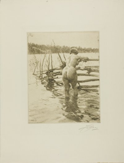 Plot od Anders Leonard Zorn