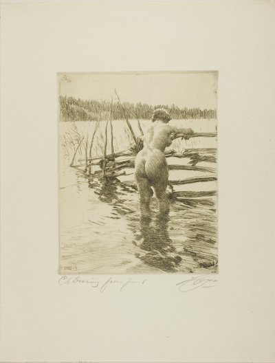 Plot od Anders Leonard Zorn