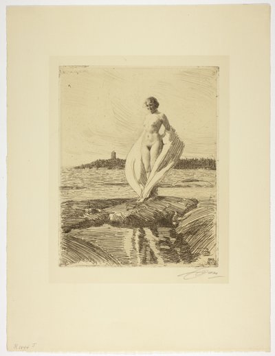 Labuť od Anders Leonard Zorn