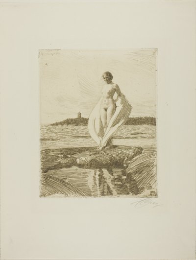 Labuť od Anders Leonard Zorn