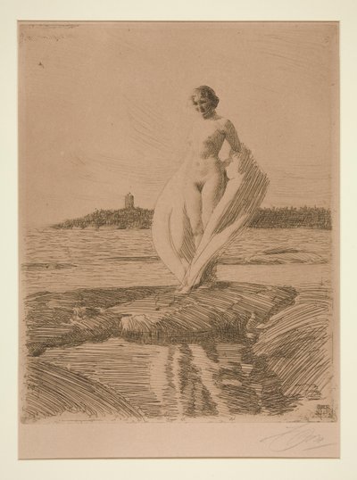 Labuť od Anders Leonard Zorn