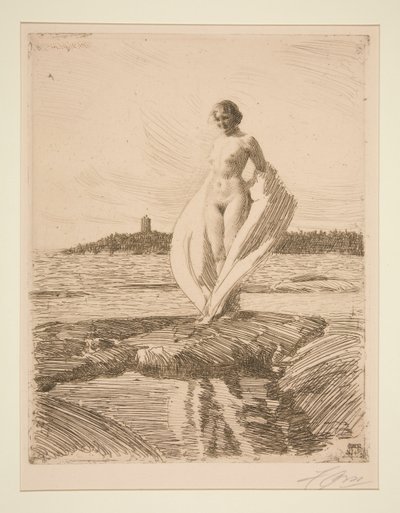 Labuť od Anders Leonard Zorn