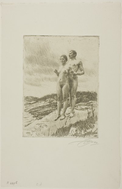 Dva od Anders Leonard Zorn