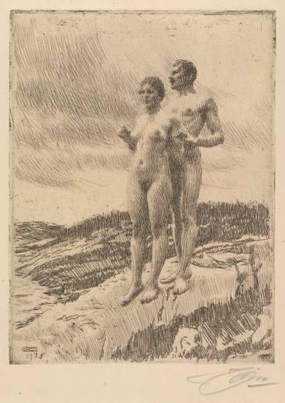 Dva od Anders Leonard Zorn