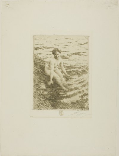 Mokrý od Anders Leonard Zorn