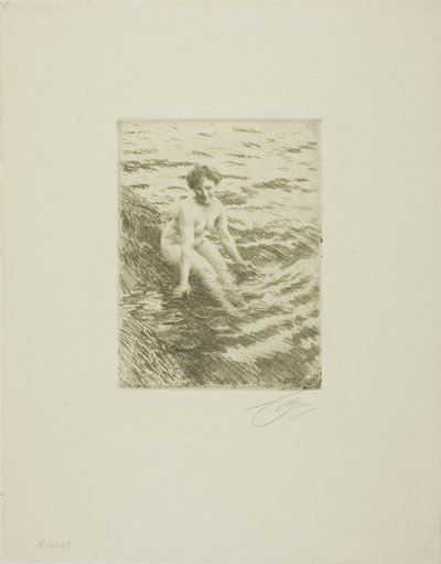 Mokrý od Anders Leonard Zorn