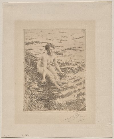Mokrý od Anders Leonard Zorn