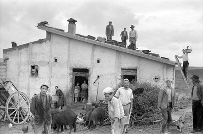 OSLAVUJE KRYT STŘECHY, od Ando Gilardi