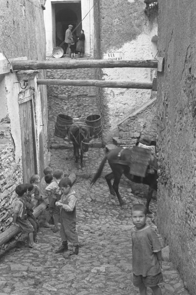 DĚTI, MELISSA od Ando Gilardi