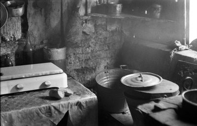 CROTONE - KUCHYŇSKÝ KOUT V SHALL od Ando Gilardi