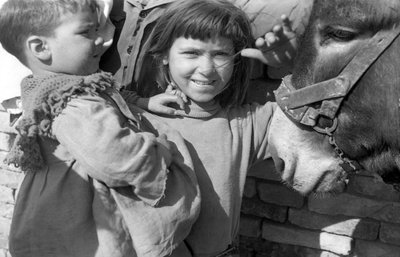 CROTONE - ŽIVOT V DĚLNICKÝCH VESNICÍCH, od Ando Gilardi