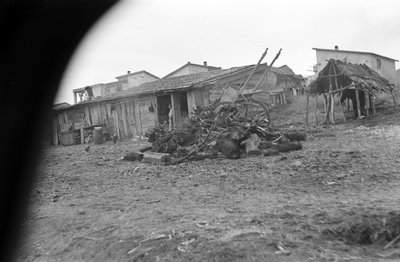 CROTONE - VESNICE ZBLÍZKA, od Ando Gilardi