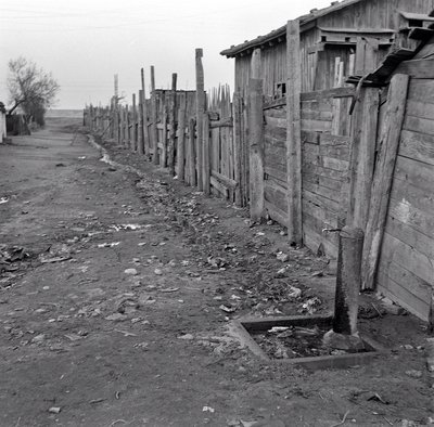 KONEC ČTVRTLETÍ ŠANGHAJ od Ando Gilardi